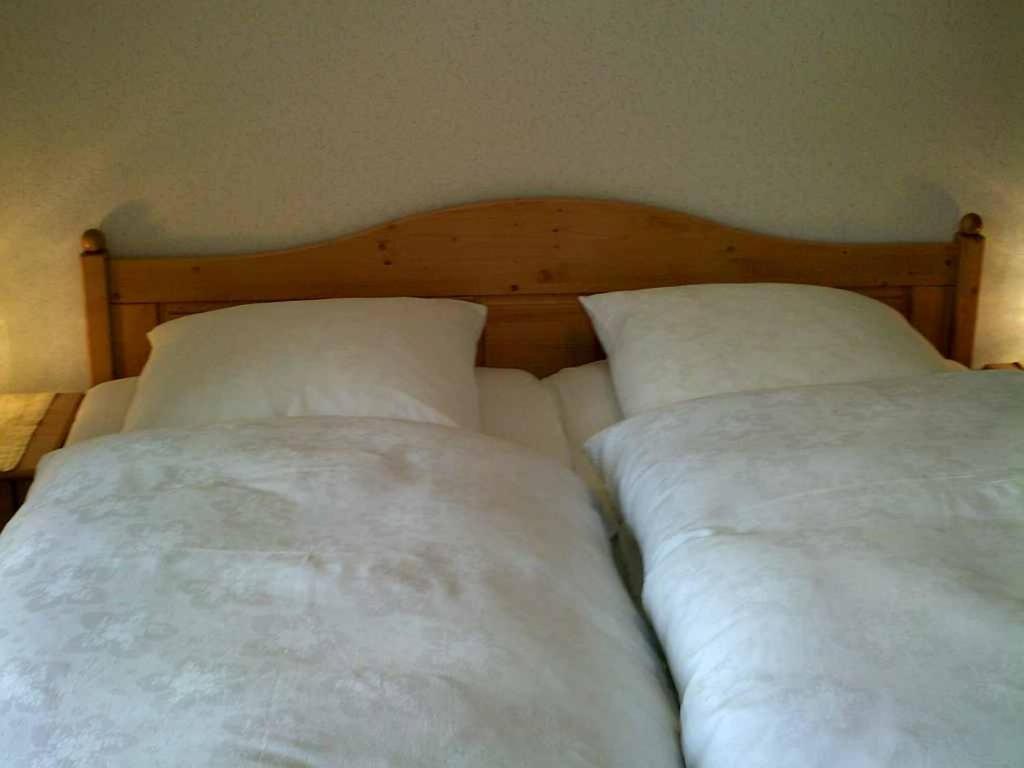 Haus Alpenblick Inkl. Chiemgaukarte Daire Ruhpolding Dış mekan fotoğraf